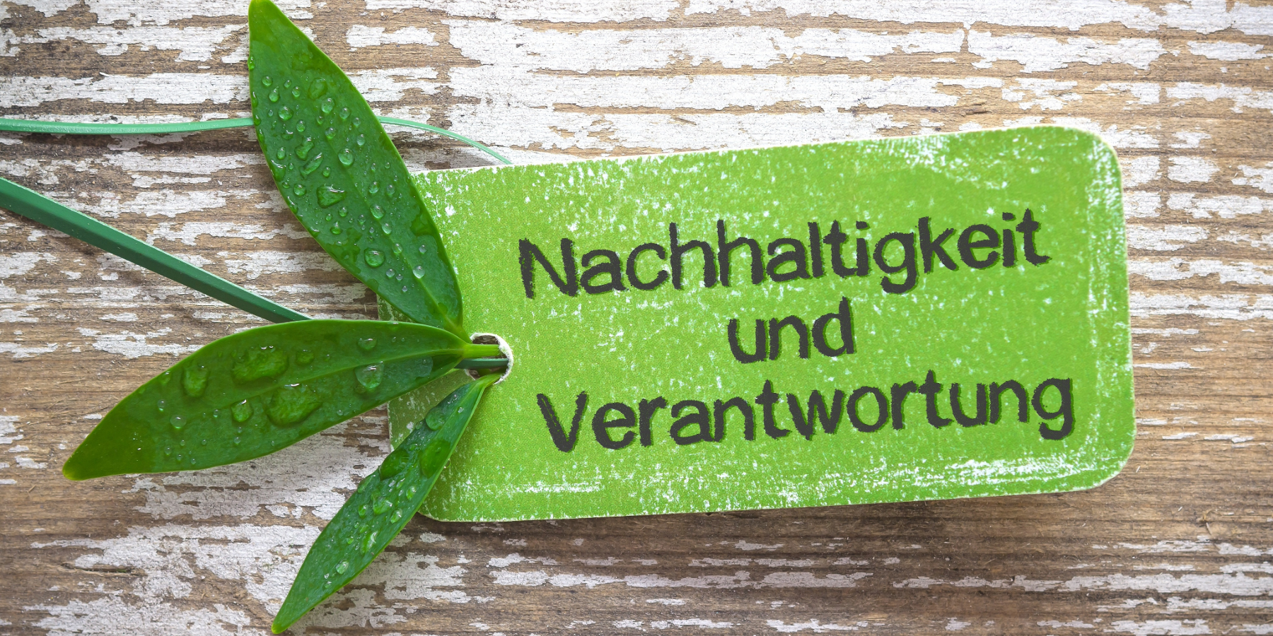 Büroreinigung und umweltschonende Verfahren