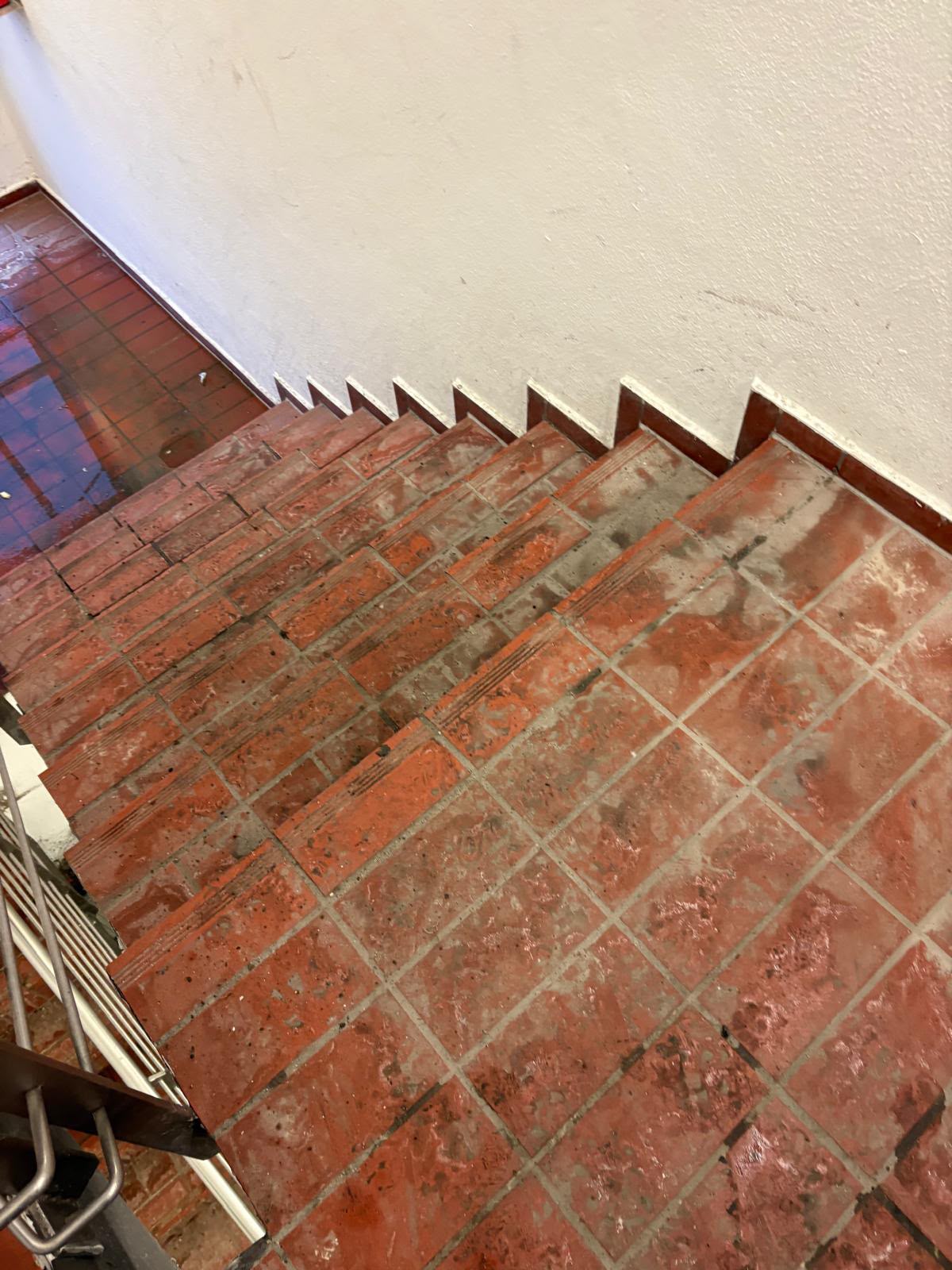 Professionelle Reinigung nachher